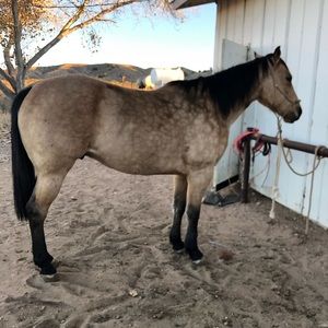 Meet your Posher, Justin